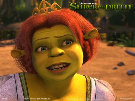 shrek vrouw|Princess Fiona